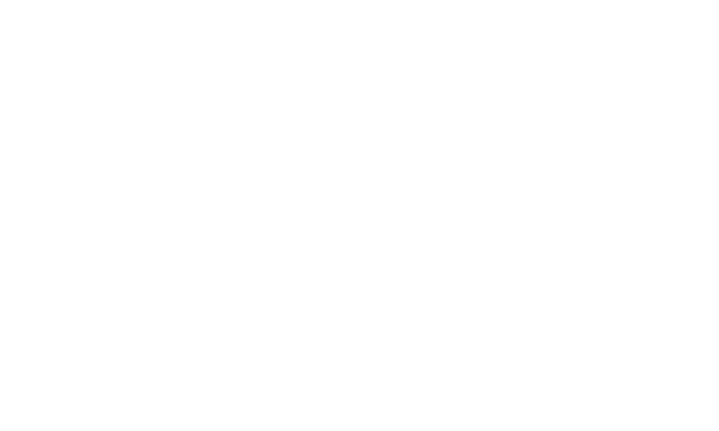 TECHNICAL CAPABILITIES